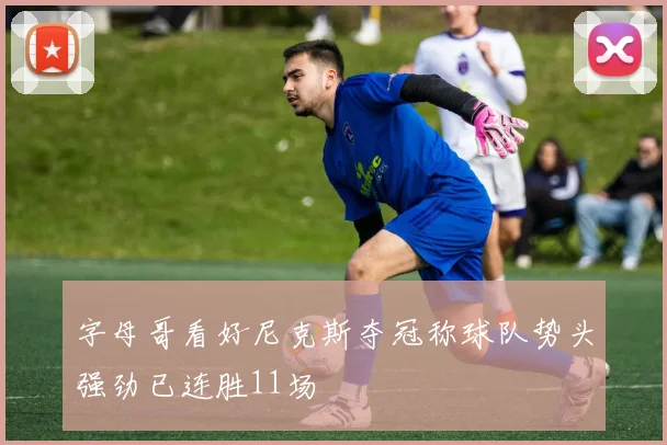 字母哥看好尼克斯夺冠称球队势头强劲已连胜11场